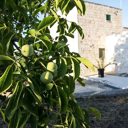 Maison Milleottocento צ'יסטרנינו