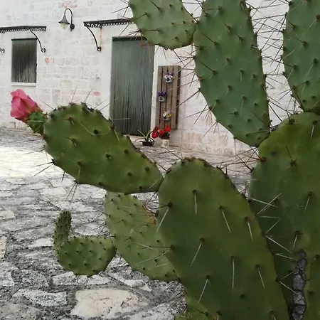 Maison Milleottocento * צ'יסטרנינו
