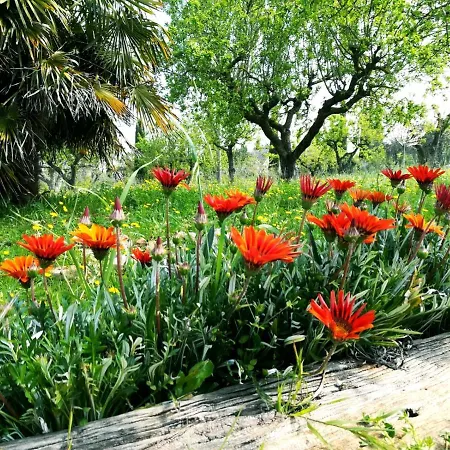 Maison Milleottocento * Cisternino